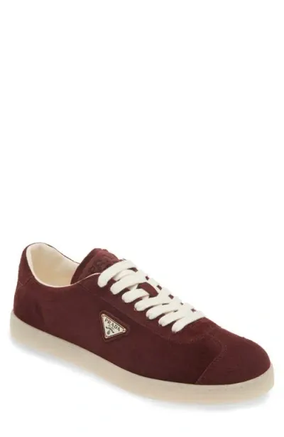 Prada Lane Suede Sneakers In Burgundy