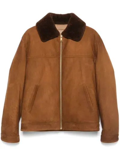 Prada Suede Jacket In Brown