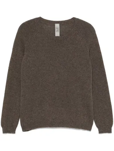 Private 0204 Cashmere Sweater In Brown