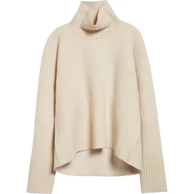 Proenza Schouler Sandra Cashmere & Wool Blend Turtleneck Sweater In Ecru