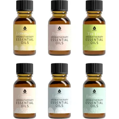 Pursonic 6 Pack Of Aromatherapy Essential Oils In Multicolor