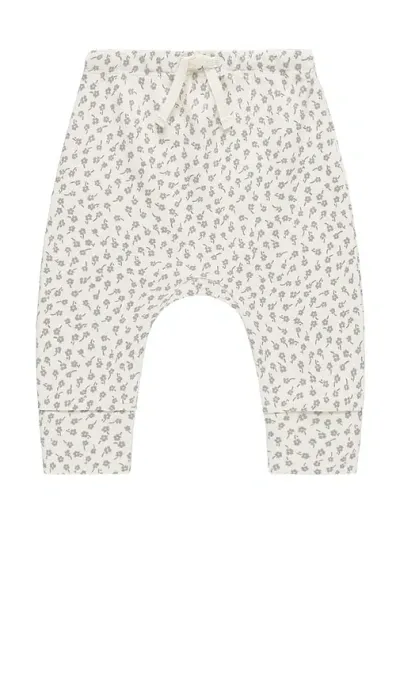 Quincy Mae Drawstring Pant In Scatter