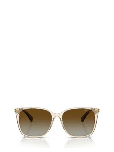 Ralph Lauren Sunglasses In Shiny Transparent Brown