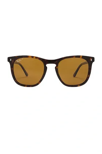 Ray Ban Polarized Sunglasses In Brown