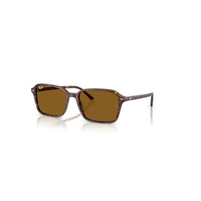 Ray Ban Raimond Sonnenbrillen Transparent Fantasy Braun Fassung Braun Glas 56-18 In Burgundy