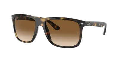 Ray Ban Ray In Brown