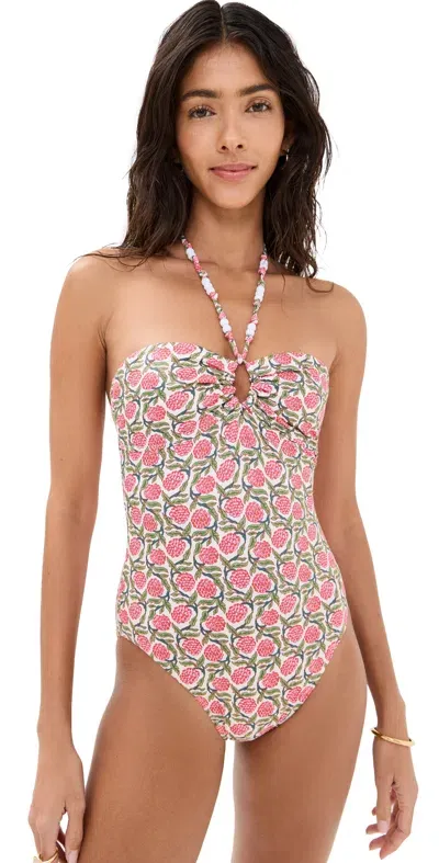 Rhode Kanika One Piece Raspberry Vine