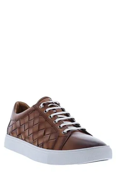 Robert Graham Appaloosa Sneaker In Cognac