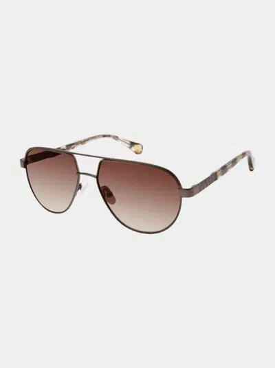 Robert Graham Metal Aviator Frame Sunglasses In Brown