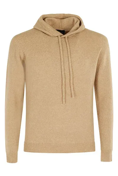 Roberto Collina Drawstring Knit Hoodie In Brown