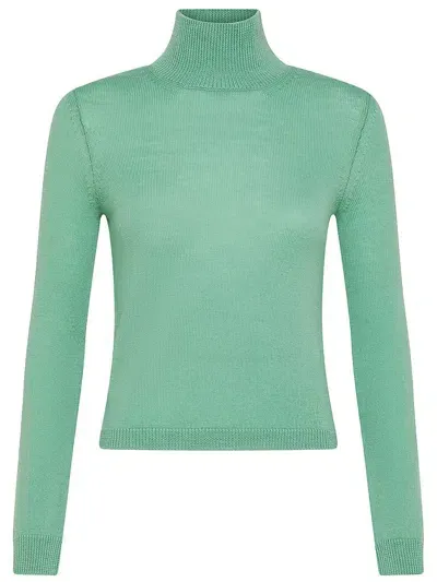 's Max Mara Niobe High Neck Wool Sweater In Green