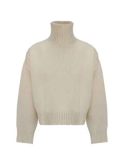 Sa Su Phi Turtleneck Sweater In Ivory