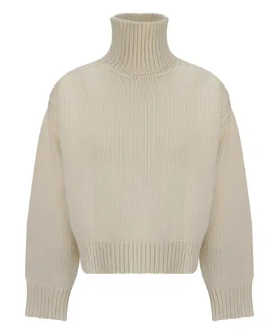 Sa Su Phi Roll-neck Sweater In Gold