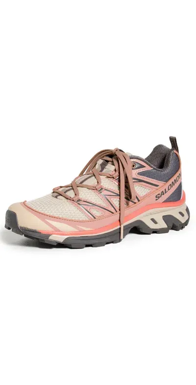 Salomon Xt-6 Expanse Trainers In Brown