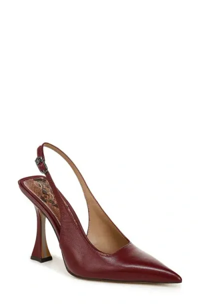 Sam Edelman Odette Slingback Pointed Toe Pump In Chianti