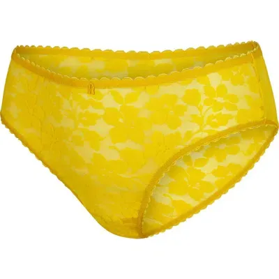 Savage X Fenty Lavish Lace Hipster Briefs In Topaz Yellow