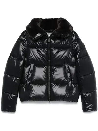 Save The Duck Quilted Puffer Jacket In Black