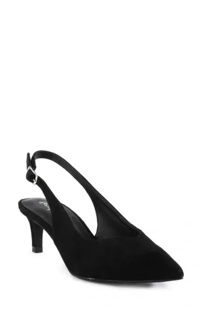 Seychelles Candlelight Slingback Pointed Toe Kitten Heel Pump In Black