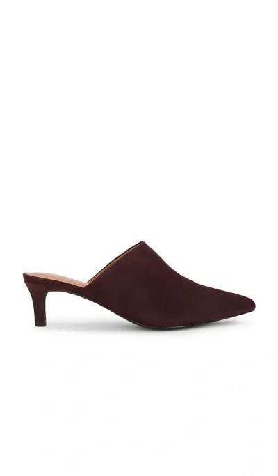 Seychelles Obsession Mule In Chocolate