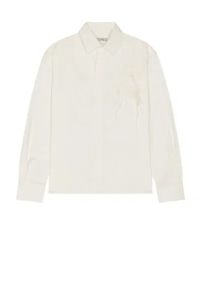 Siedres Plam Shirt In White