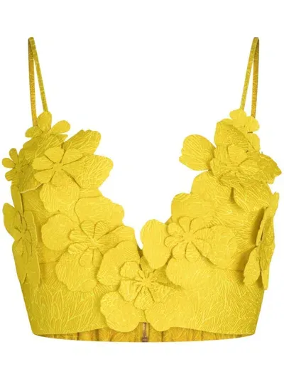 Silvia Tcherassi Ibbie Floral-appliqué Top In Yellow