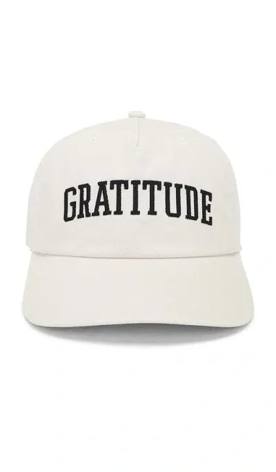 Spiritual Gangster Gratitude Dad Hat In 桦树皮白