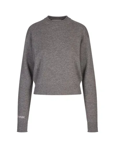 Sportmax Crewneck Knitted Jumper In Grey