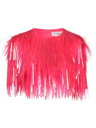 Sportmax Fringed Crewneck Cropped Top In Pink