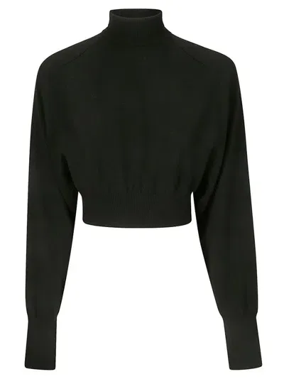 Sportmax High Neck Long-sleeved Jumper In Black