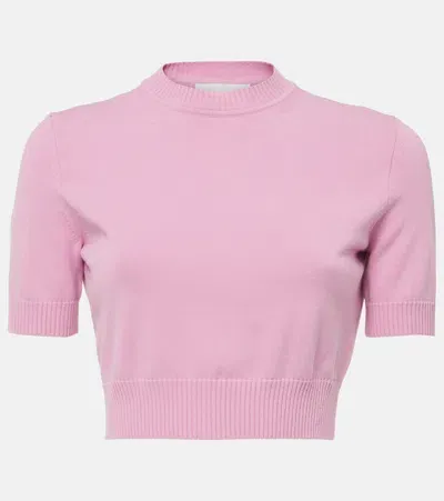 Sportmax Premier Knitted Crop Top In Purple