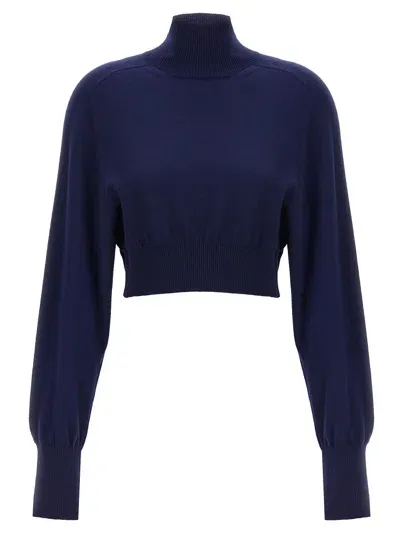 Sportmax Ululato Turtleneck Sweater In Blue