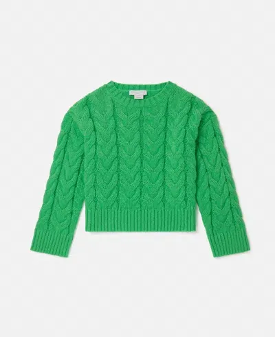 Stella Mccartney Cable Knit Sweater In Green