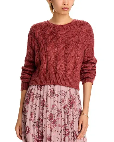 Steve Madden Ceronne Cable Knit Crewneck Sweater In Baked Apple