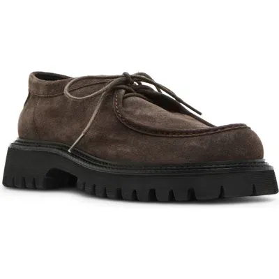 Steve Madden Kalkin Chukka Shoe In Dark Grey