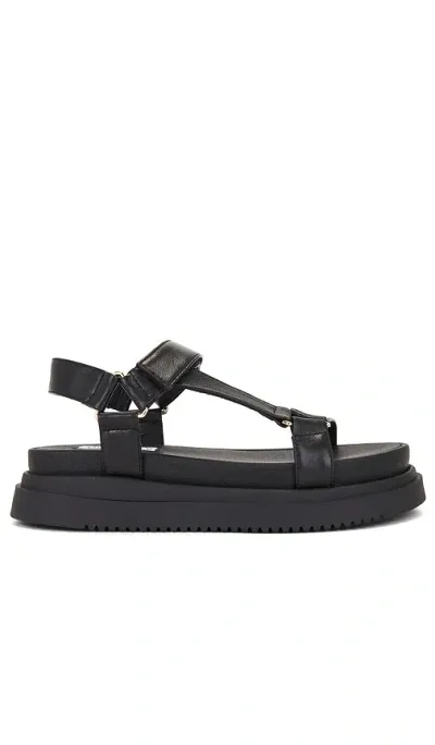 Steve Madden Matina Sandal In Black