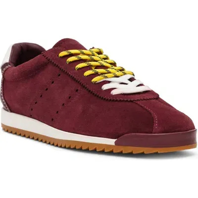 Steve Madden Mirage Sneaker In Burgundy