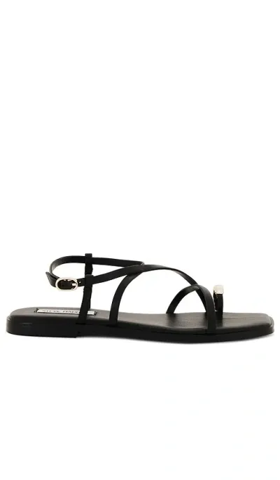 Steve Madden Vega Sandal In Black