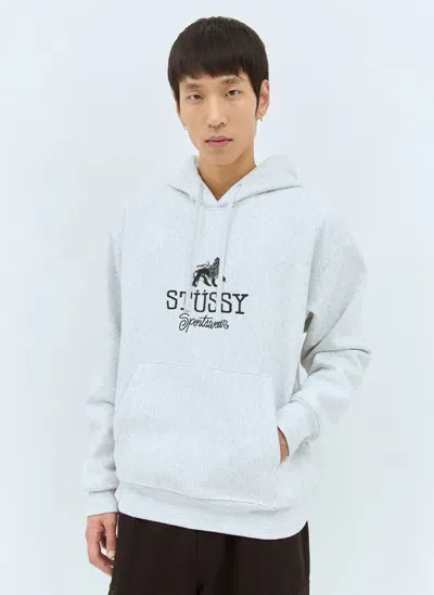 Stussy Sportswear Hooded Sweatshirt In Light Grey