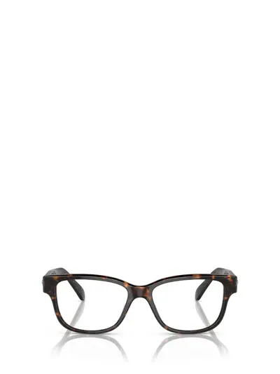 Swarovski Eyeglasses In Brown