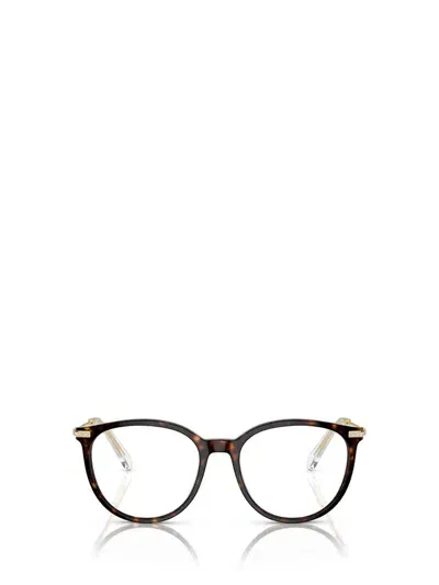 Swarovski Eyeglasses In Brown