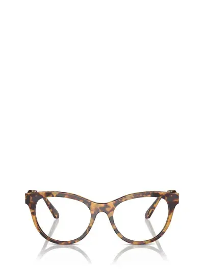 Swarovski Eyeglasses In Brown