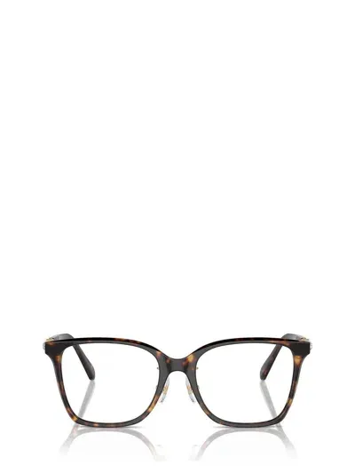 Swarovski Eyeglasses In Brown