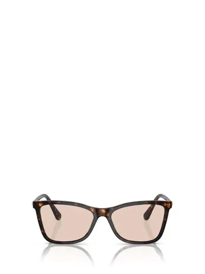 Swarovski Rectangle Frame Sunglasses In Brown