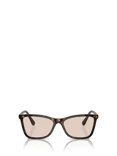 Swarovski Sunglasses In Brown