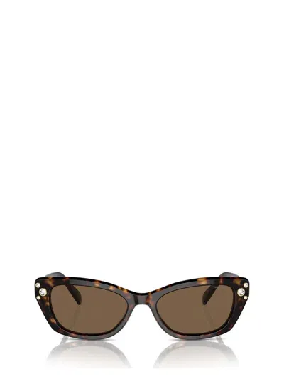 Swarovski Sunglasses In Brown