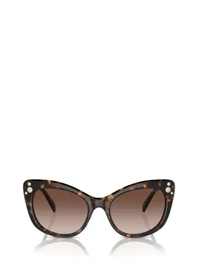 Swarovski Sunglasses In Brown