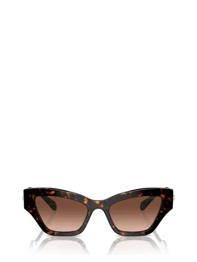 Swarovski Sunglasses In Brown