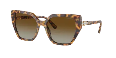 Swarovski Woman Sunglasses Sk6016 In Brown