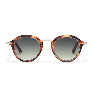 Taylor Morris Eyewear Castle In Brown