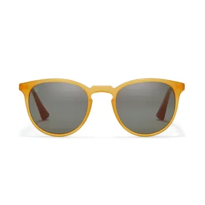 Taylor Morris Eyewear George Arthur Sunglasses In Gold